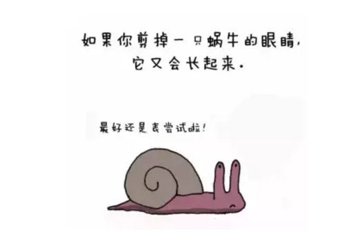 蝸牛的眼睛