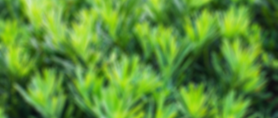 三焦點(diǎn)人工晶體